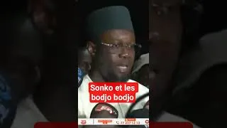 Miniature : Sonko vs les bodjo bodjo