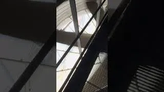 Miniature : Vidéo immersive sur les métiers d’une usine biomasse