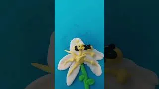 Miniature : Pollinisation