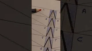 Miniature : DNA