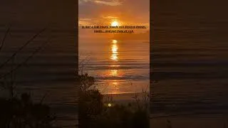 Miniature : FLOODS#shorts #quotes #beach #motivation #nature #ihavethisthingwithplants #lifeisbutadream #life