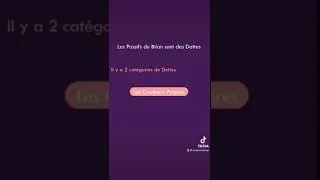 Miniature : Le bilan comptable en 20 secondes