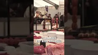 Miniature : Ces bouchers ont mis 500 heures pour réaliser cette statue en graisse de porc #shorts | 750GTV