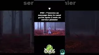Miniature : les serveurs pionniers #dofus