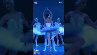 Miniature : Le Lac des Cygnes • Sofia City Ballet - teaser 2027