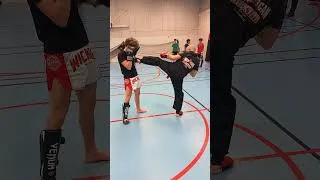 Miniature : Technique dans le style Bill Wallace | Coups de pieds revers et de côtés #LTDL 91