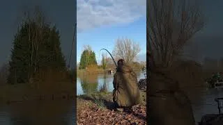 Miniature : Un Esturgeon Diamant 55kg !  #abfish