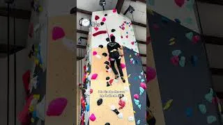 Miniature : Circuits Blocs ou Voies Bras