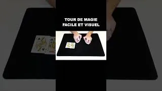 Miniature : TOUR DE MAGIE FACILE ET VISUEL #tourdemagiefacile #magie #magic