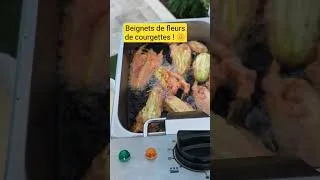 Miniature : Recette de beignets de fleurs de courgettes à la pâte de tempura #potager #beignet #courgette