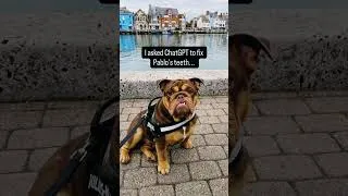 Miniature : I Asked AI to Fix a Bulldog’s Teeth… It Gave Him a Hollywood Smile