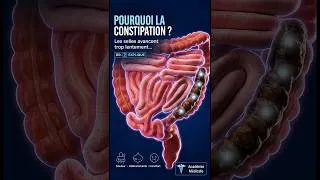Miniature : Pourquoi la constipation se produit ?