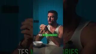 Miniature : Le déficit calorique seul ne suffit pas