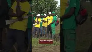 Miniature : Le Président de la jeunesse congolaise #denissassounguesso #brazzaville #dsn2026 #congo