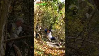 Miniature : sortie d'automne. Vidéo complète sur la chaine