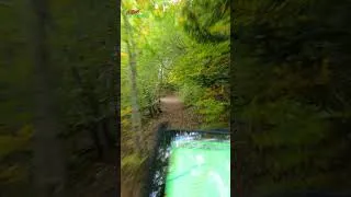 Miniature : Un tour dans les bois