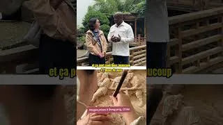 Miniature : Dongyang – inspiration pour l’artisanat africain