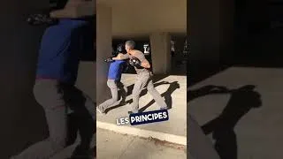 Miniature : Surprend ton agresseur avec une mobilité inattendue