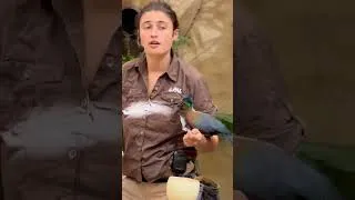 Miniature : On en parle des prénoms qu'ils donnent aux oiseaux ? #rire #humour