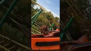 Miniature : Le Tigre de Sibérie : Une expérience inoubliable 🎢✨ #themepark #onride #shorts
