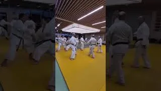 Miniature : stage ceinture noire sarrebourg 2025