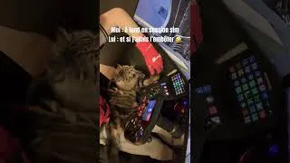 Miniature : Red flag je crois 🤣 #simracing #chat #humour #iracing #simracerlife