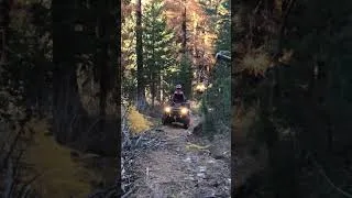 Miniature : Dur Dur pour Owen #attitude #aventure #entrainement #extreme #quad #nature #atv