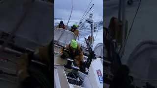 Miniature : The Final Sprint: 40,000 Miles at Sea 🌊⛵ | Clipper Race Finale