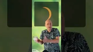 Miniature : Eclipses ! Vincent Coudé du Foresto