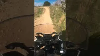 Miniature : Africa twin in action