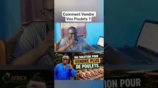 Miniature : Comment Vendre vos poulets ?