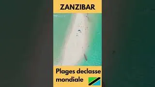 Miniature : ZANZIBAR : Plages de classe mondiale #shorts