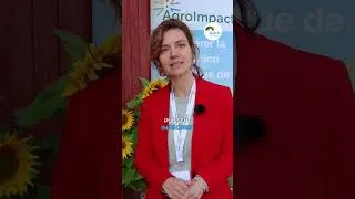 Miniature : AgroImpact: nouveau site web au service de l'agriculture et du climat