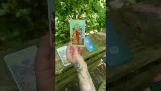 Miniature : Voyance🔮Dans la forêt #tarot