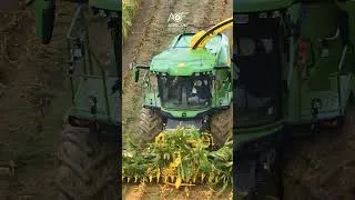Miniature : The new John Deere F8  #agriculture #farming #ensilage