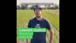 Miniature : Minute Durable 32 - Le riz de Vully