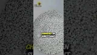 Miniature : Voici pourquoi l'urine de porc vaut de l'or au champ