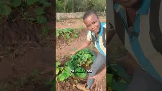 Miniature : #agriculture #farming #ecoledejardinage #2026