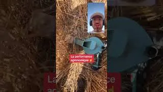 Miniature : 🥵 Récolte des essais à la mini batteuse, on vous tient au courant sur l’app AgroLeague