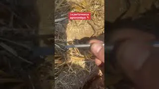 Miniature : ⏰ Semer son couvert le + tôt possible et au bon positionnement !