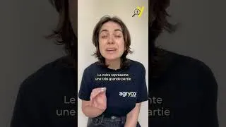 Miniature : Le colza : Le vrai pilier de la souveraineté en protéines face au soja ? 🌾