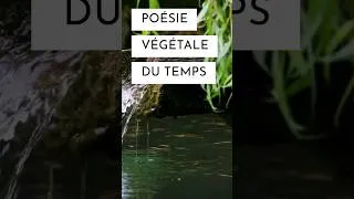 Miniature : Poésie Végétale du Temps #nature #viral #youtubeshorts #video video#shorts