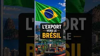 Miniature : Exporter vers le brésil: découvrez le grand potentiel du brésil