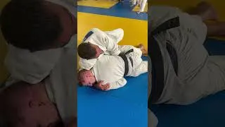 Miniature : Judo Newaza : Retournement / Le tord boyau par Momo Halabi