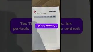 Miniature : En droit, la différence ce n’est pas l’intelligence. C’est l’organisation. 📅