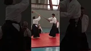 Miniature : aikido bokken  #aikido #artmartial #bokken #aikiken #budo
