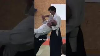 Miniature : Aikido, le sens martial