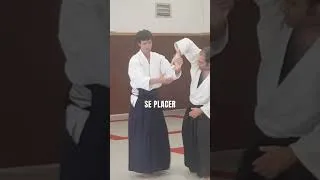 Miniature : Aikido Sankyo centre du mouvement