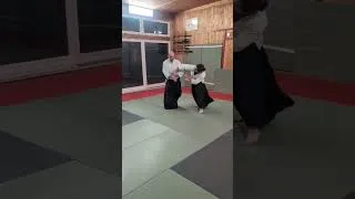 Miniature : Sankyo sur jodan tsuki et ushiro ryote dori #aikido #shorts (2026)