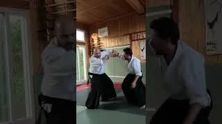 Miniature : Shomen uchi nikyo ura #aikido #shorts (2026)